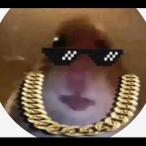 Meet your Posher, Brayden